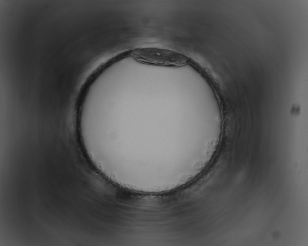 X0000102811167200809081101