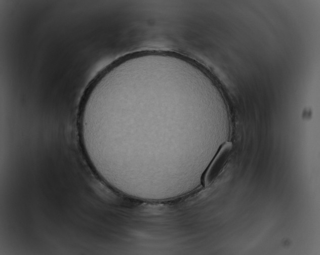 X0000102811168200809081101