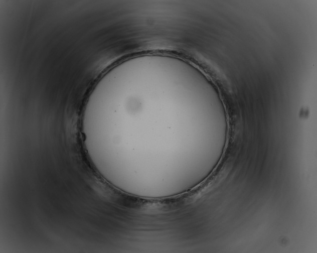 X0000102811169200809081101