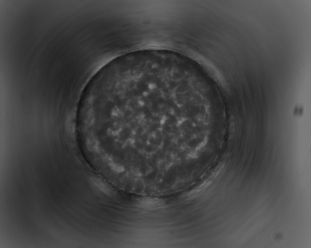 X0000102811170200809081101