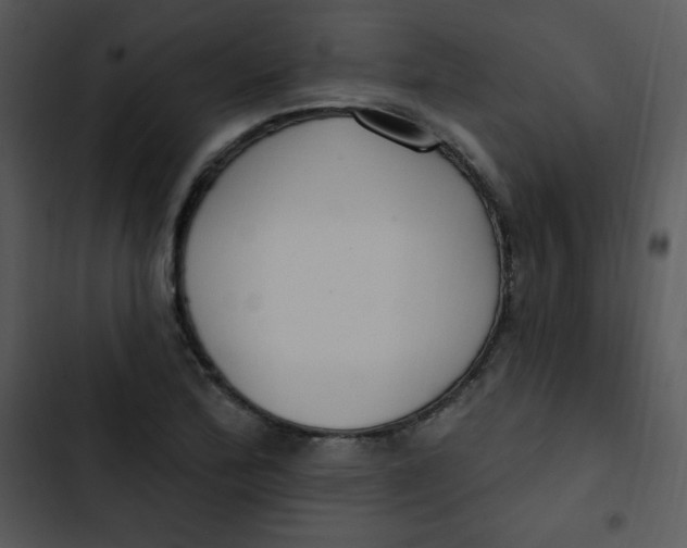 X0000102811172200809081101