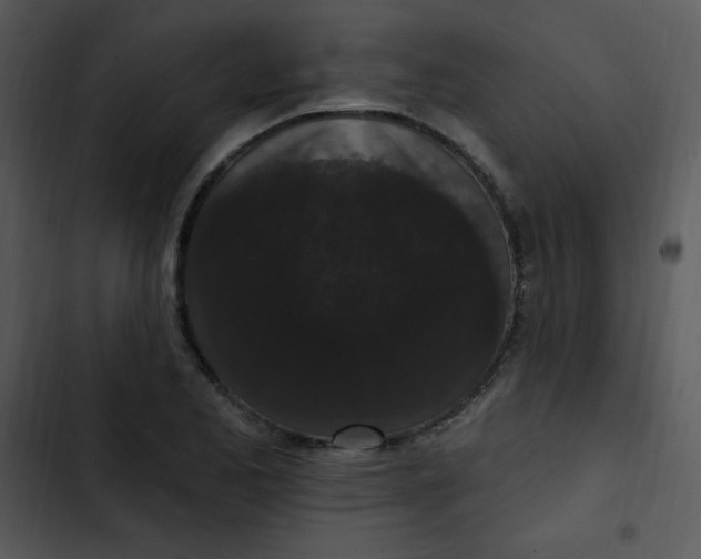 X0000102811173200809081101