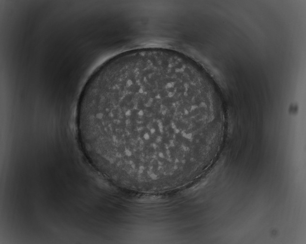 X0000102811174200809081101