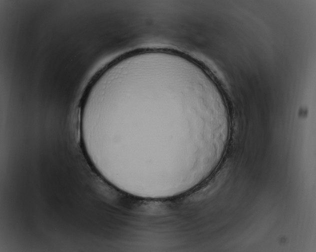 X0000102811175200809081101