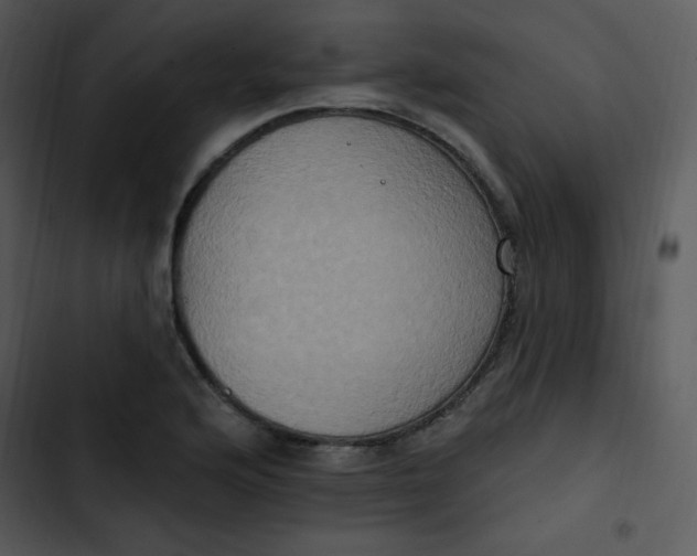 X0000102811176200809081101