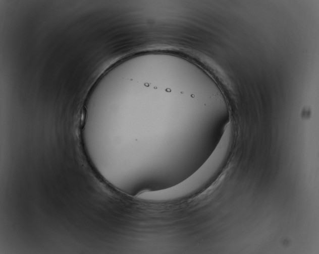 X0000102811177200809081101