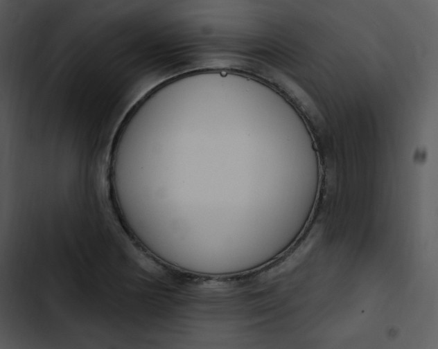 X0000102811178200809081101