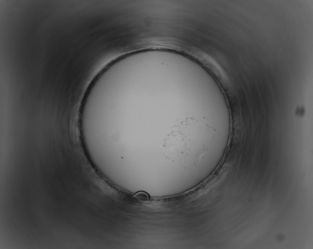 X0000102811182200809081101