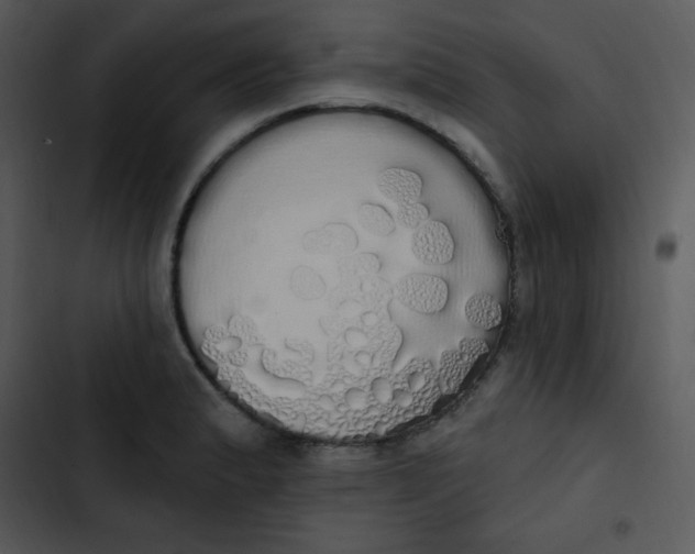 X0000102811183200809081101