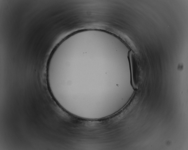 X0000102811184200809081101