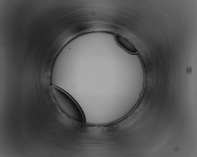 X0000102811185200809081101