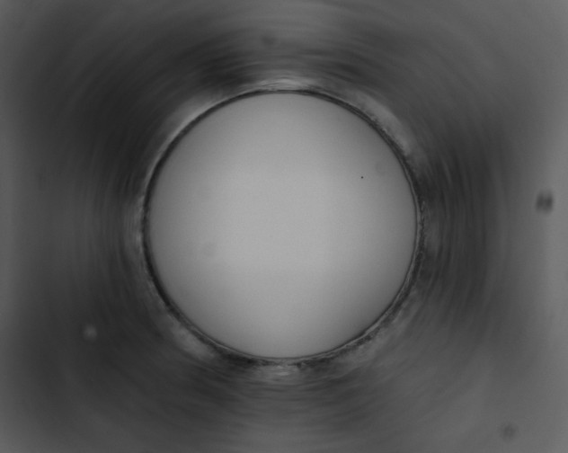 X0000102811186200809081101