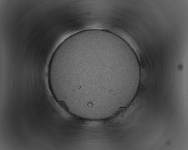 X0000102811187200809081101