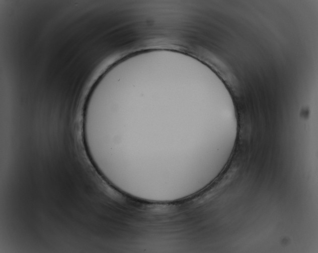 X0000102811188200809081101