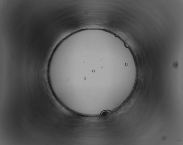 X0000102811189200809081101