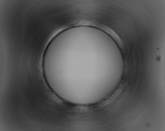 X0000102811190200809081101