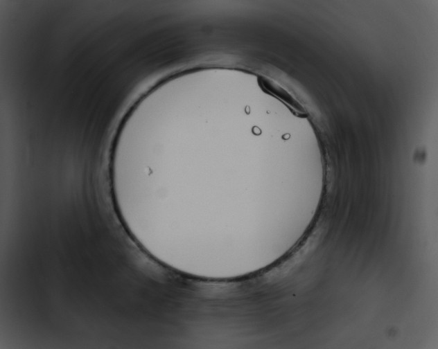 X0000102811192200809081101