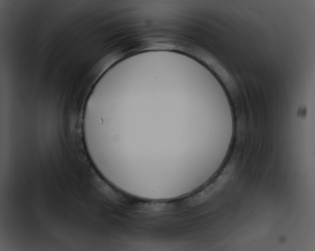 X0000102811193200809081101