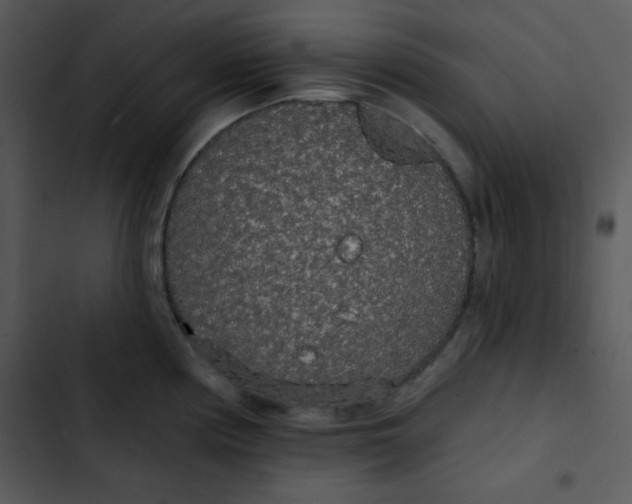 X0000102811194200809081101