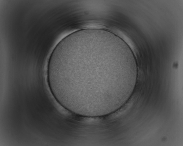 X0000102811195200809081101