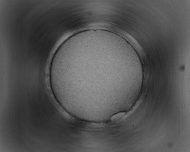 X0000102811196200809081101