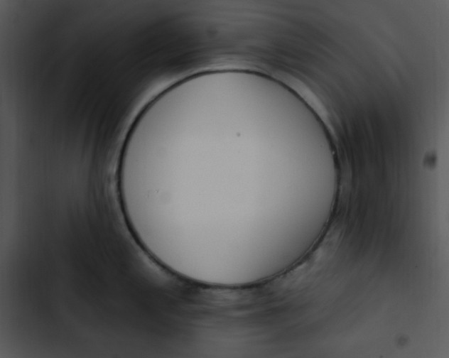 X0000102811197200809081101