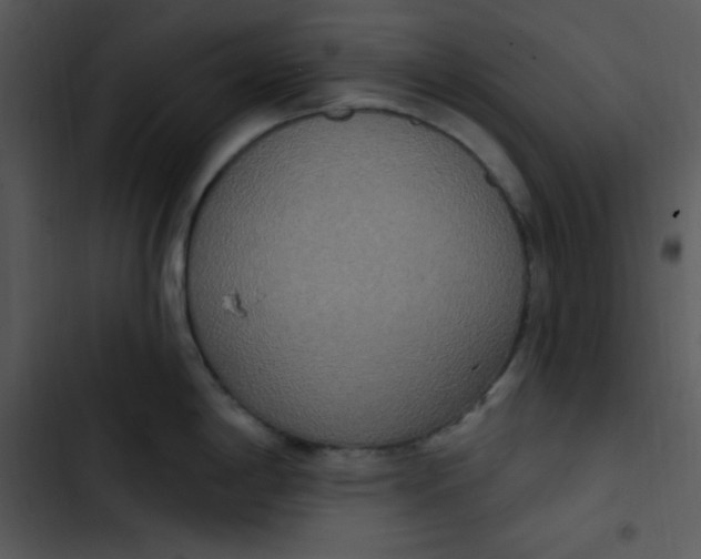 X0000102811198200809081101