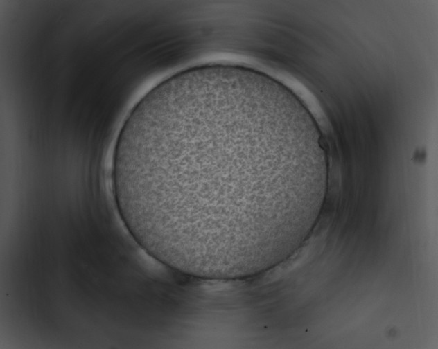 X0000102811199200809081101