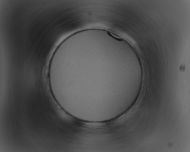 X0000102811200200809081101