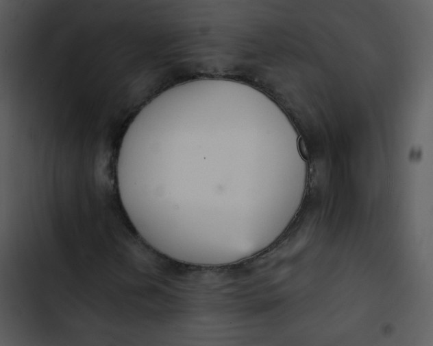 X0000102811202200809081100