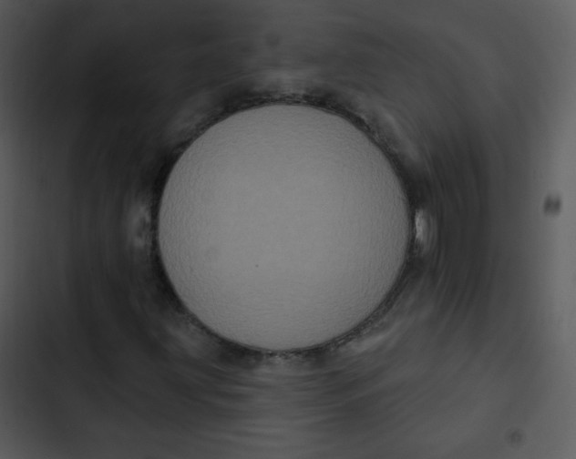 X0000102811203200809081100