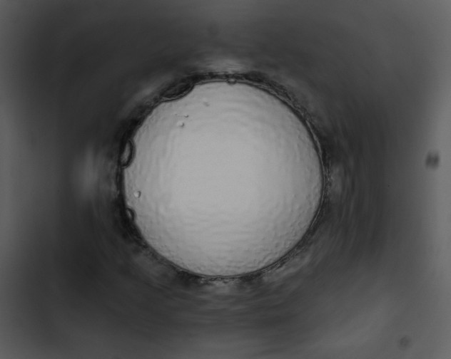 X0000102811205200809081100