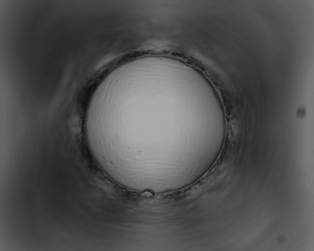 X0000102811206200809081100