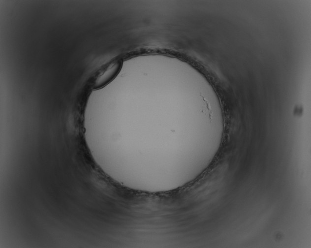 X0000102811207200809081100