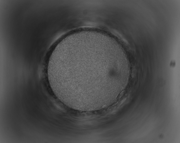 X0000102811208200809081100