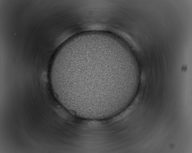 X0000102811209200809081100