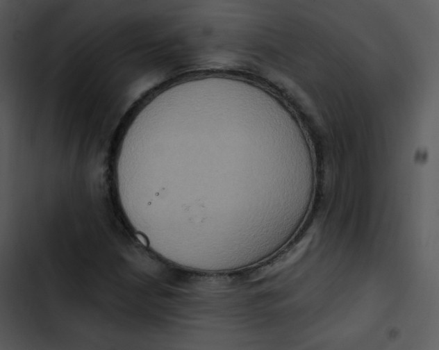 X0000102811210200809081100