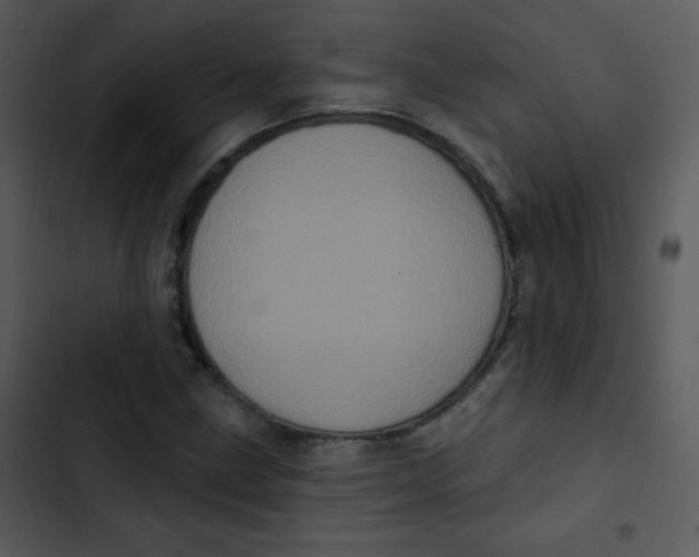 X0000102811211200809081100