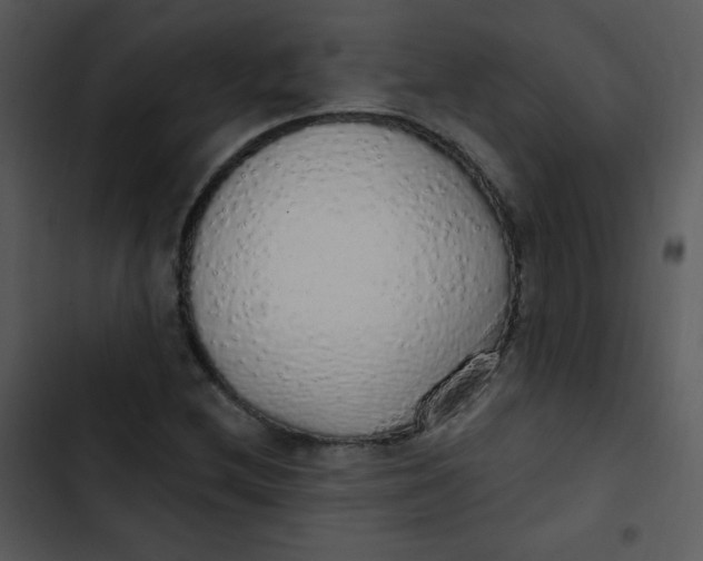 X0000102811212200809081100