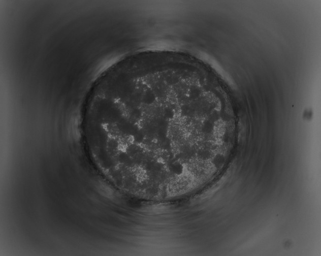 X0000102811213200809081100