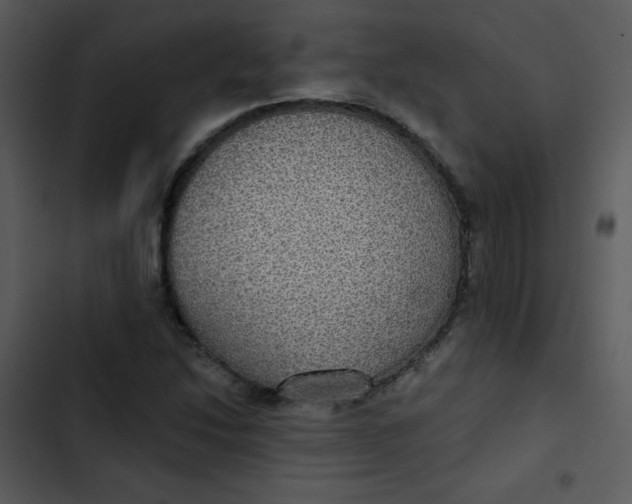 X0000102811214200809081100