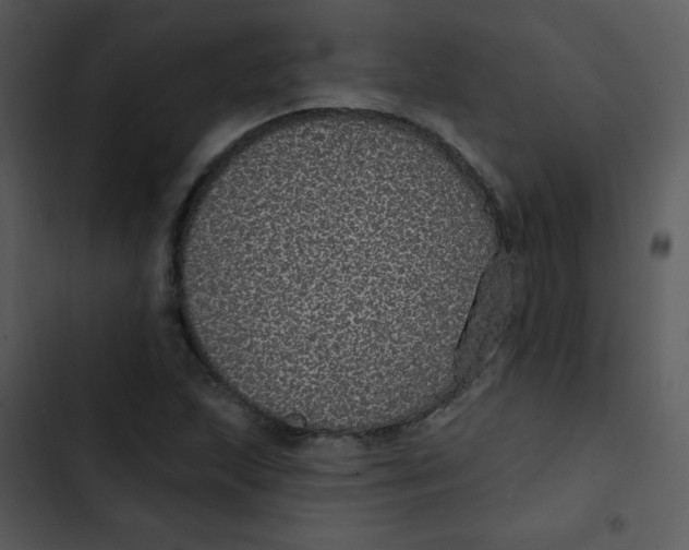 X0000102811215200809081100