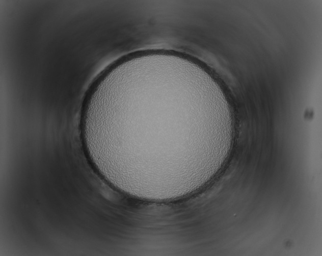 X0000102811216200809081100