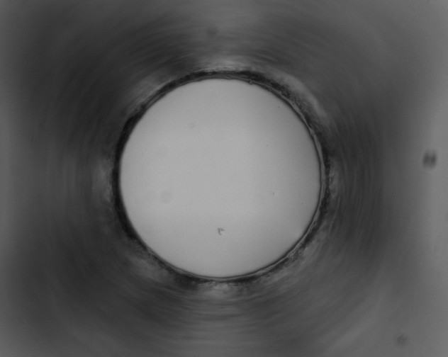 X0000102811217200809081100