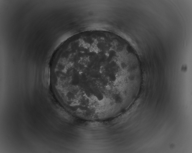 X0000102811219200809081101