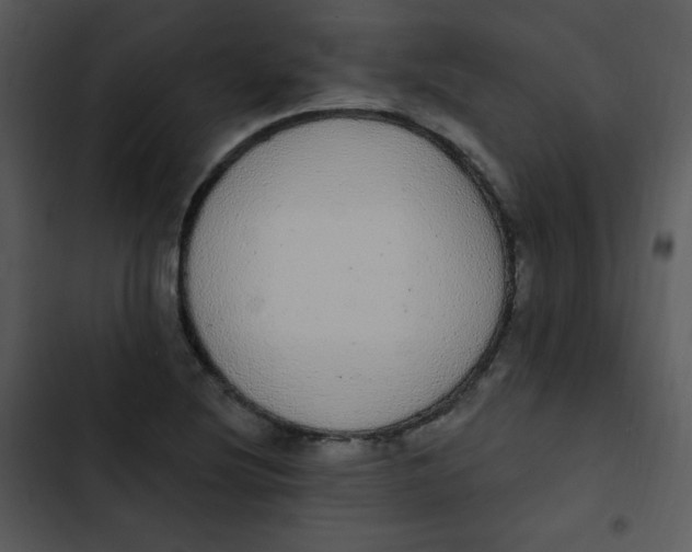 X0000102811220200809081101