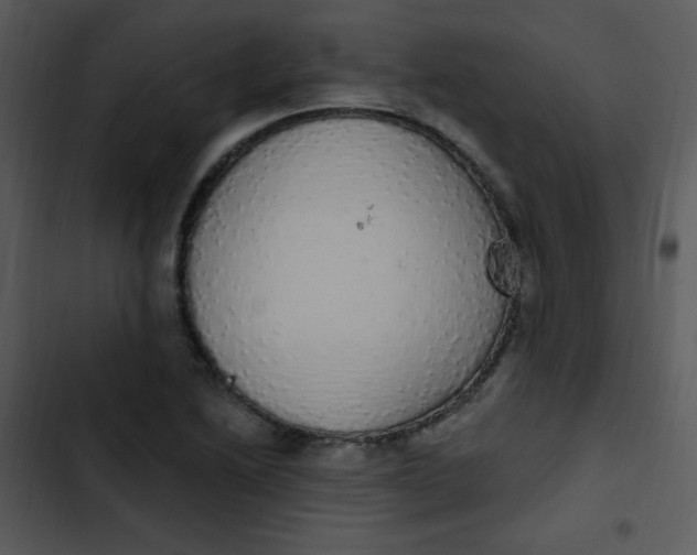 X0000102811222200809081101