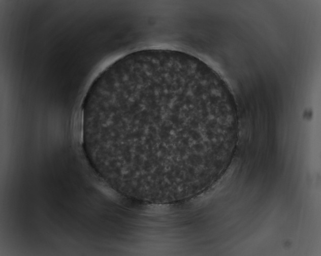 X0000102811223200809081101