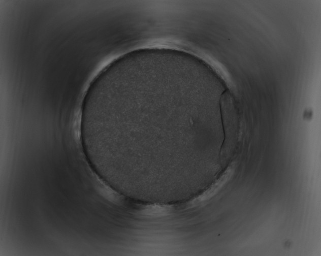 X0000102811224200809081101