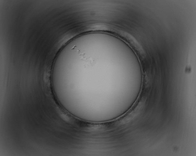 X0000102811225200809081101